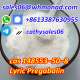 Pregabalin Powder CAS 148553-50-8 with...